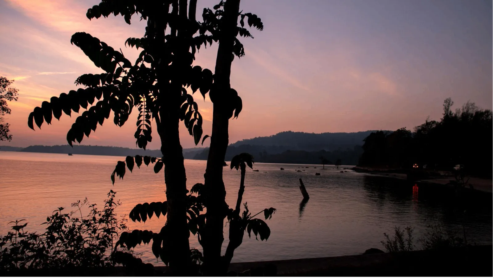 Chidiya Tapu Beach